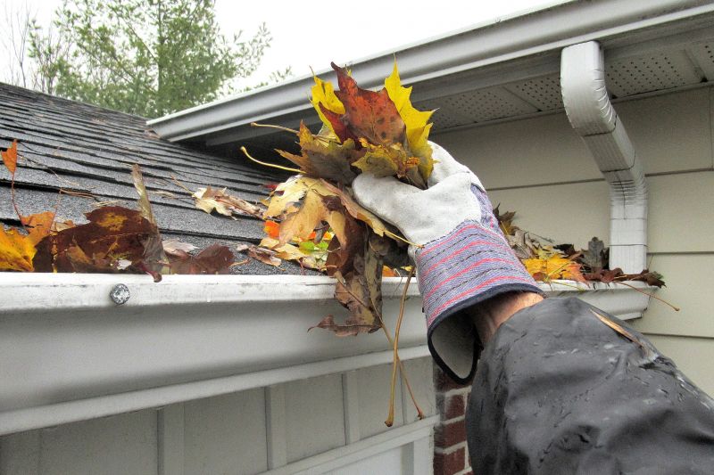 Clogged Gutter Clearing in Richmond, VA