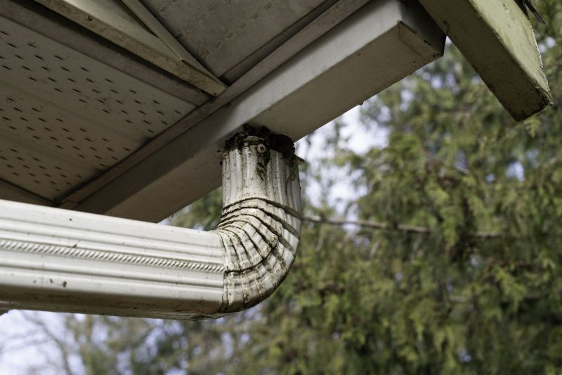 Eavestrough Clearing in Arvada, CO