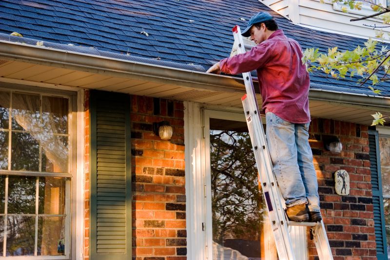 Gutter Maintenance in Longmont, CO
