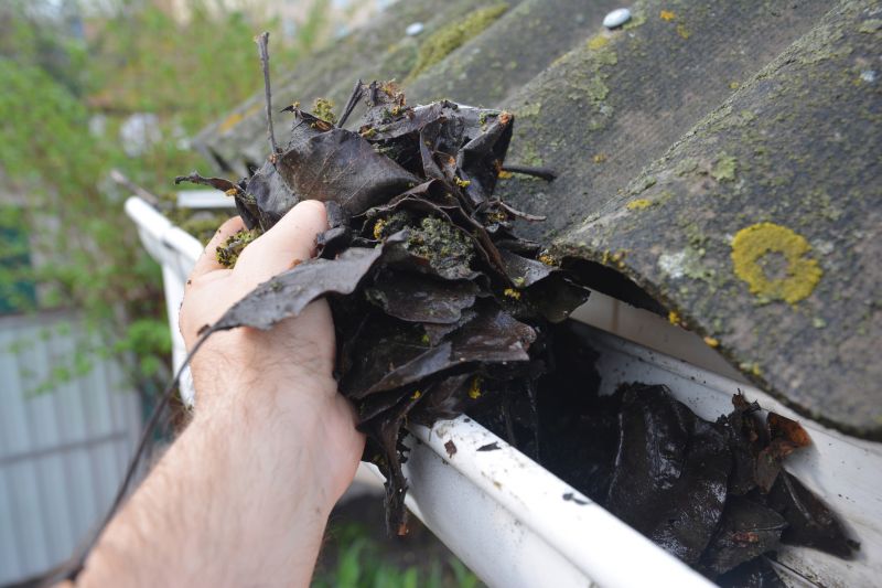 Gutter Maintenance in Annapolis, MD